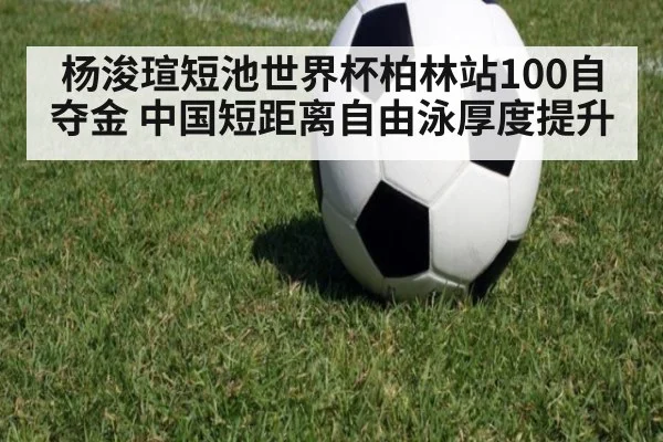 杨浚瑄短池世界杯柏林站100自夺金 中国短距离自由泳厚度提升 - j9 game